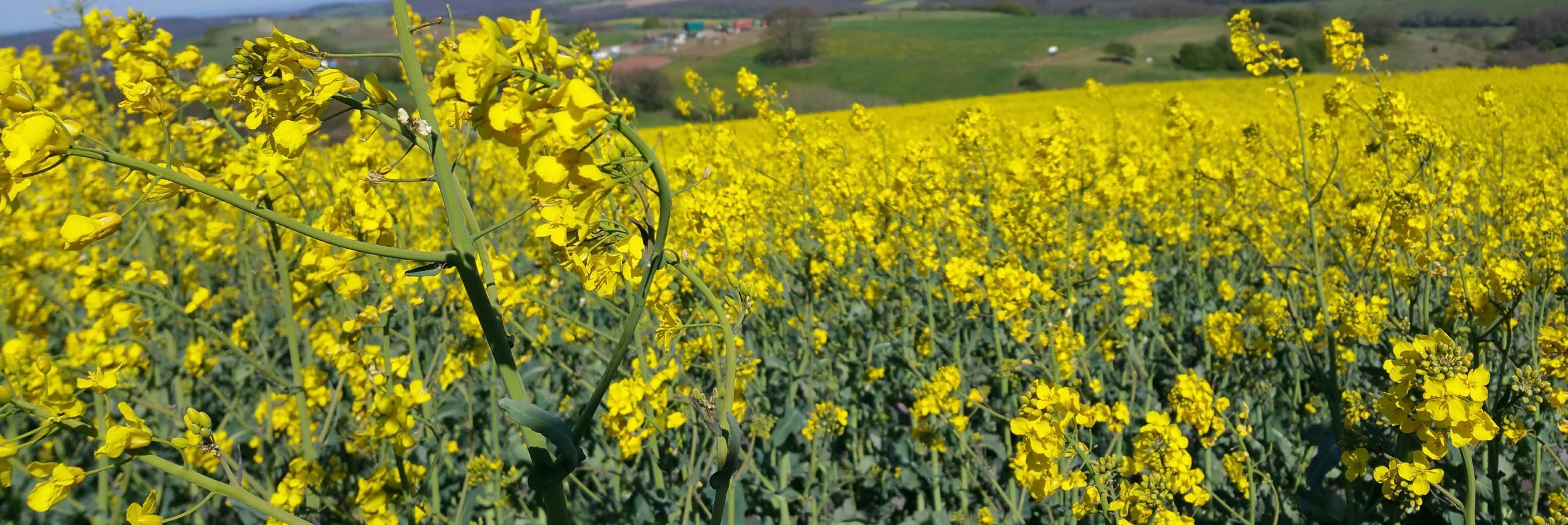 Predigt to go: Jubelt 03.05.2020